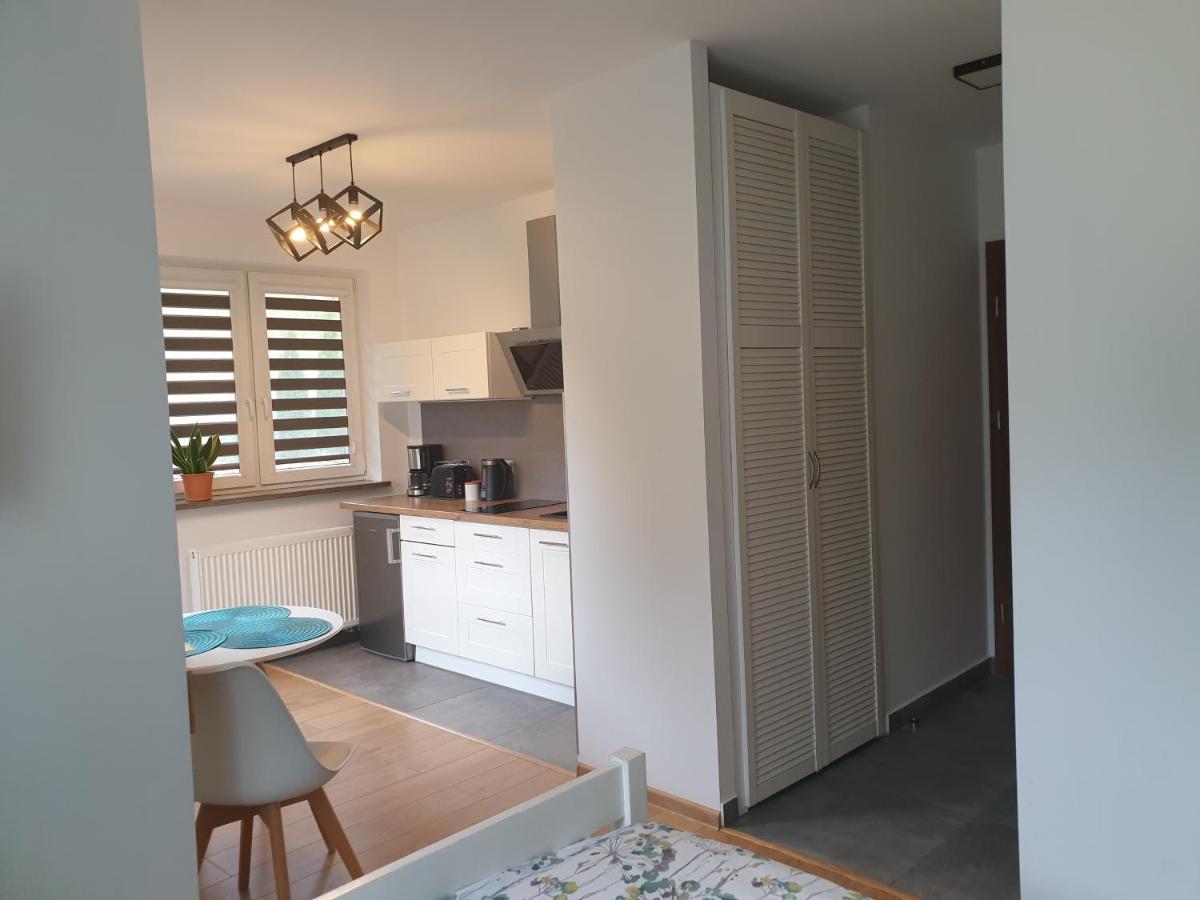 Villa Mila Apartamenty カルパッチ エクステリア 写真